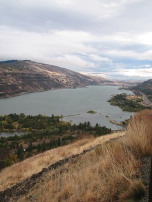 looking east from Rowena 2